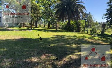 Casa - Colonia Adela