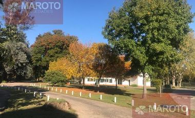 CASA EN VENTAY ALQUILER  EN LOS HORNEROS C.C. - MAROTO PROPIEDADES-