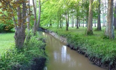 Alquila cabaña en el Delta del Tigre. Arroyo las Animas y Paraná de la Palmas.