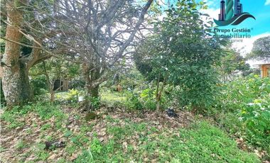 VENDO CASA COMERCIAL 1000MTS ALTO BOQUETE