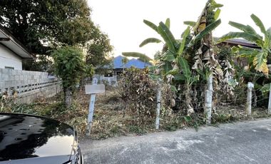 Land for sale in Wiang, Chiang Rai