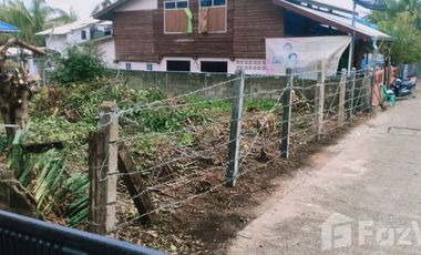 Land for sale in Wiang, Chiang Rai