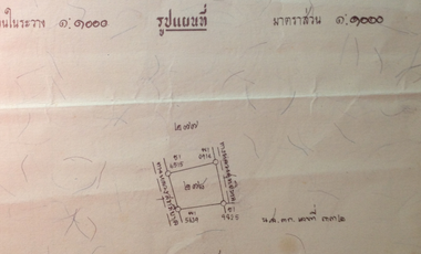 Land for sale in Wiang, Chiang Rai