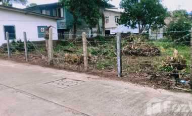 Land for sale in Wiang, Chiang Rai