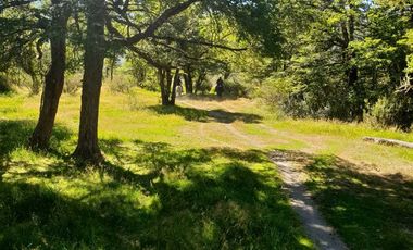 Parcela en venta  en COCHRANE