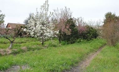 Parcela en Venta en Rinconada de Doñihue Rancagua