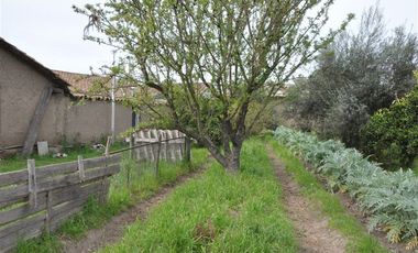 Parcela en Venta en Rinconada de Doñihue Rancagua