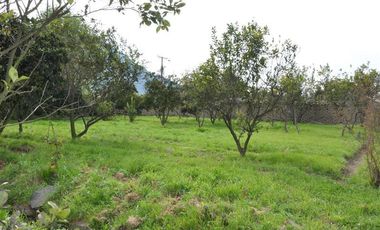 Parcela en Venta en Rinconada de Doñihue Rancagua