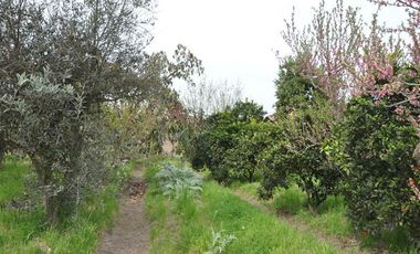 Parcela en Venta en Rinconada de Doñihue Rancagua