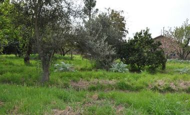 Parcela en Venta en Rinconada de Doñihue Rancagua