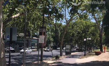 Oficina en Arriendo en C35391 - Arriendo Oficina Andres Bello Francisco Noguera - Providencia - 180Mts