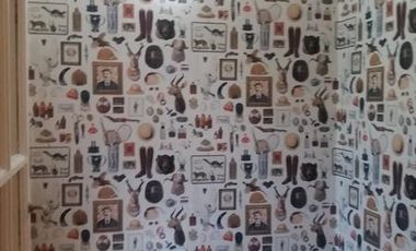 Casa - Los Pinguinos