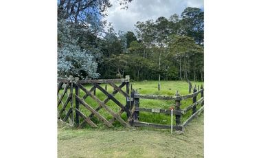 Venta de lote finca en Pontezuela