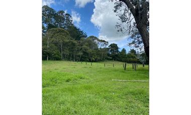 Venta de lote finca en Pontezuela