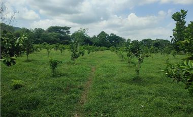 FINCA EN VENTA - Entre PIOJO y JUAN DE ACOSTA