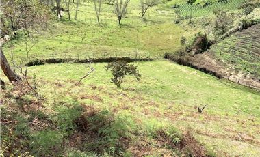 Venta de Lote en San Vicente, Antioquia – Con Nacimiento de Agua