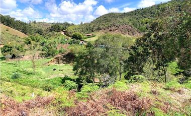 Venta de Lote en San Vicente, Antioquia – Con Nacimiento de Agua