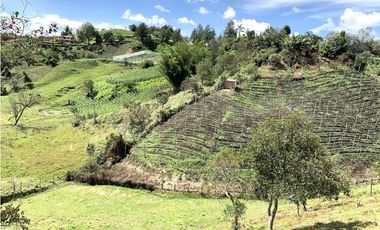 Venta de Lote en San Vicente, Antioquia – Con Nacimiento de Agua