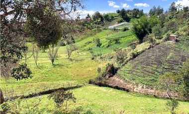 Venta de Lote en San Vicente, Antioquia – Con Nacimiento de Agua