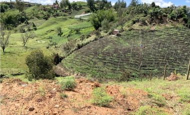 Venta de Lote en San Vicente, Antioquia – Con Nacimiento de Agua