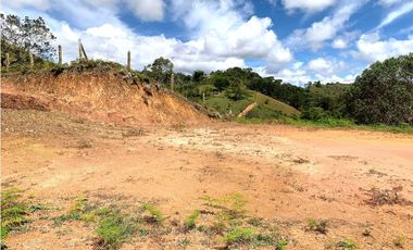 Venta de Lote en San Vicente, Antioquia – Con Nacimiento de Agua