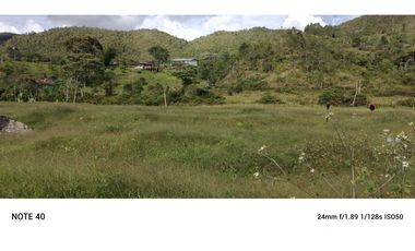 vendo finca san vicente Ferrer Antioquia, 7,7 hectáreas CH MO