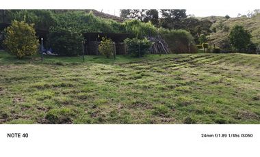 vendo finca san vicente Ferrer Antioquia, 7,7 hectáreas CH MO