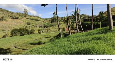vendo finca san vicente Ferrer Antioquia, 7,7 hectáreas CH MO