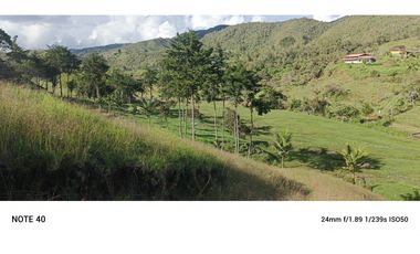 vendo finca san vicente Ferrer Antioquia, 7,7 hectáreas CH MO