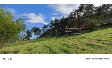 vendo finca san vicente Ferrer Antioquia, 7,7 hectáreas CH MO