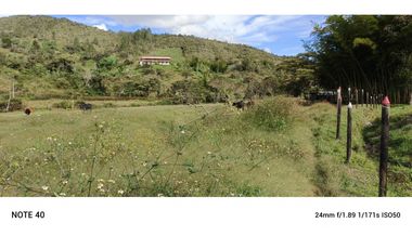 vendo finca san vicente Ferrer Antioquia, 7,7 hectáreas CH MO