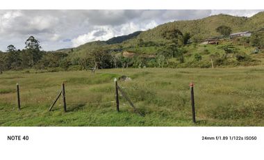 vendo finca san vicente Ferrer Antioquia, 7,7 hectáreas CH MO