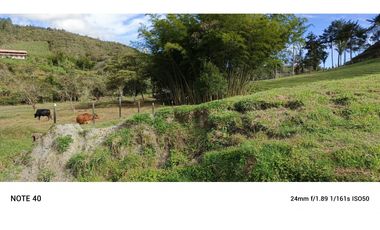 vendo finca san vicente Ferrer Antioquia, 7,7 hectáreas CH MO