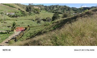 vendo finca san vicente Ferrer Antioquia, 7,7 hectáreas CH MO