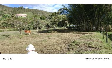 vendo finca san vicente Ferrer Antioquia, 7,7 hectáreas CH MO