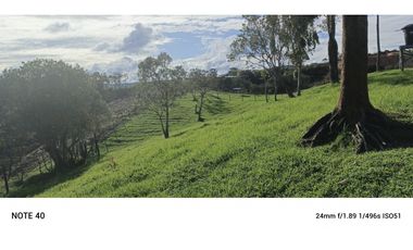 vendo finca san vicente Ferrer Antioquia, 7,7 hectáreas CH MO