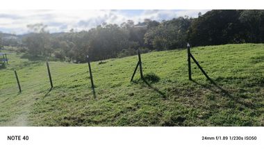 vendo finca san vicente Ferrer Antioquia, 7,7 hectáreas CH MO