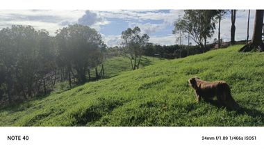 vendo finca san vicente Ferrer Antioquia, 7,7 hectáreas CH MO