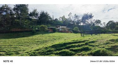 vendo finca san vicente Ferrer Antioquia, 7,7 hectáreas CH MO