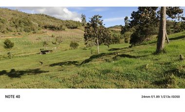 vendo finca san vicente Ferrer Antioquia, 7,7 hectáreas CH MO