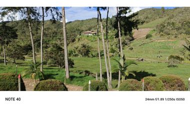 vendo finca san vicente Ferrer Antioquia, 7,7 hectáreas CH MO