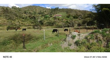 vendo finca san vicente Ferrer Antioquia, 7,7 hectáreas CH MO