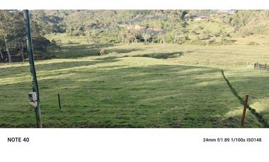 vendo finca san vicente Ferrer Antioquia, 7,7 hectáreas CH MO