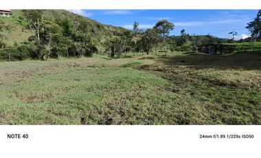 vendo finca san vicente Ferrer Antioquia, 7,7 hectáreas CH MO