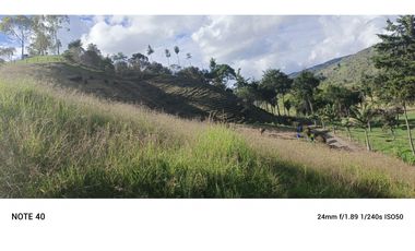 vendo finca san vicente Ferrer Antioquia, 7,7 hectáreas CH MO