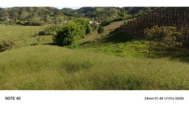 vendo finca san vicente Ferrer Antioquia, 7,7 hectáreas CH MO