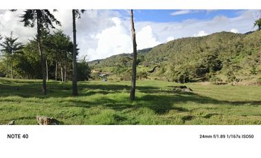 vendo finca san vicente Ferrer Antioquia, 7,7 hectáreas CH MO