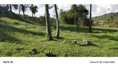 vendo finca san vicente Ferrer Antioquia, 7,7 hectáreas CH MO