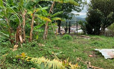 SE VENDE CASA-LOTE EN SALENTO QUINDIO