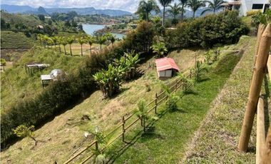 VENTA FINCA EN GUATAPE VEREDA LA CHAPA